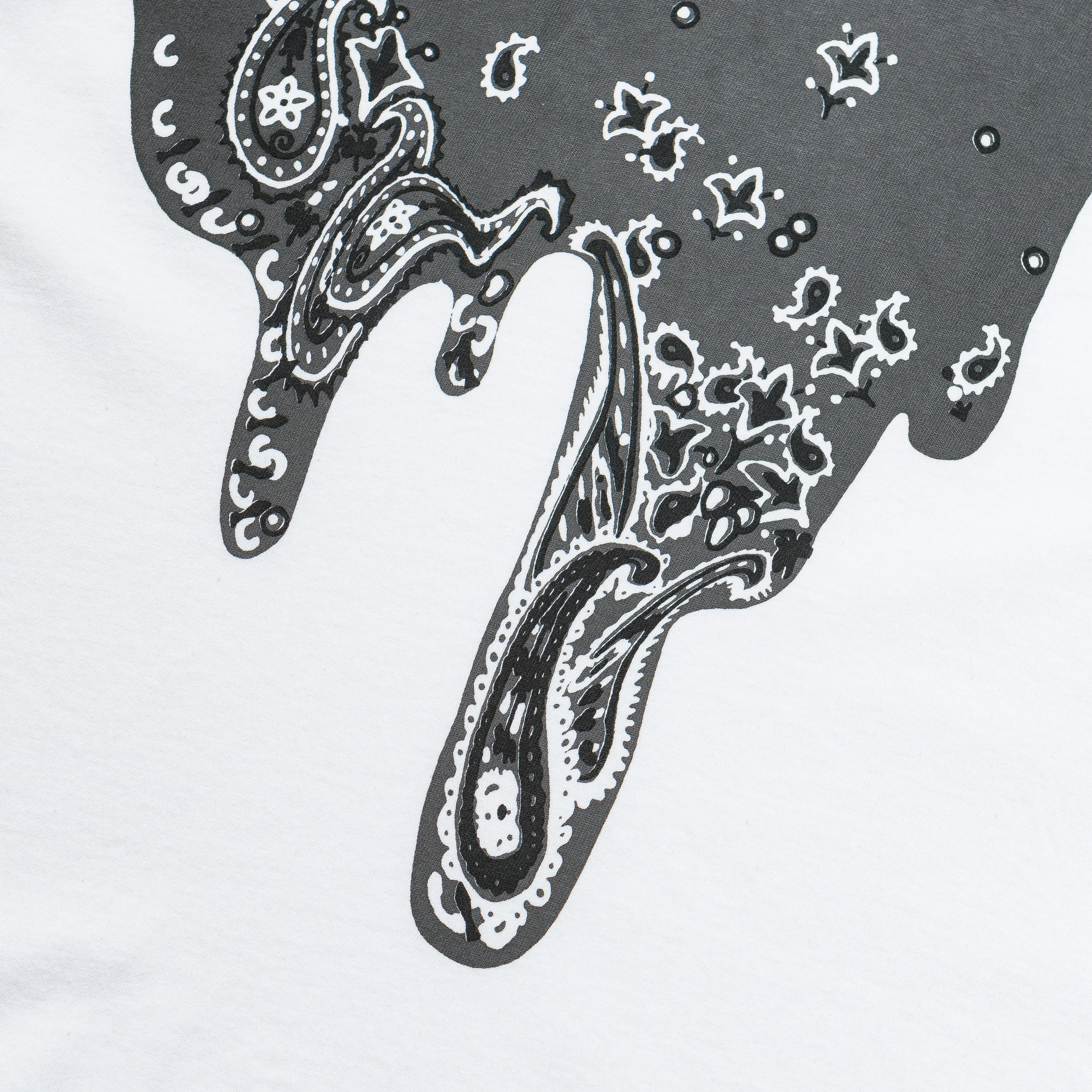 20/-Jersey Crew T (TOROTORO BANDANA) - IB - Image 4
