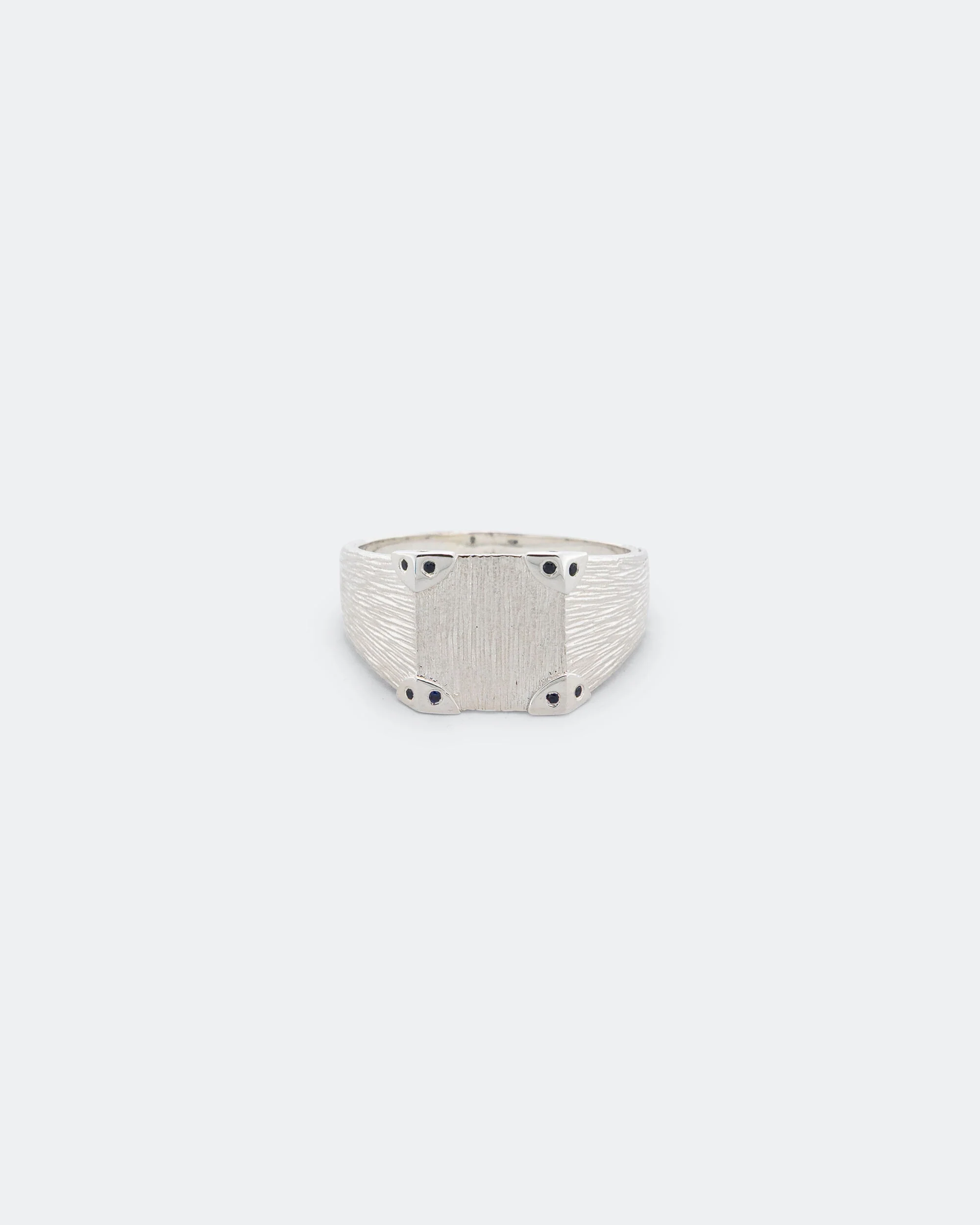 Explorers Signet - 925 Silver