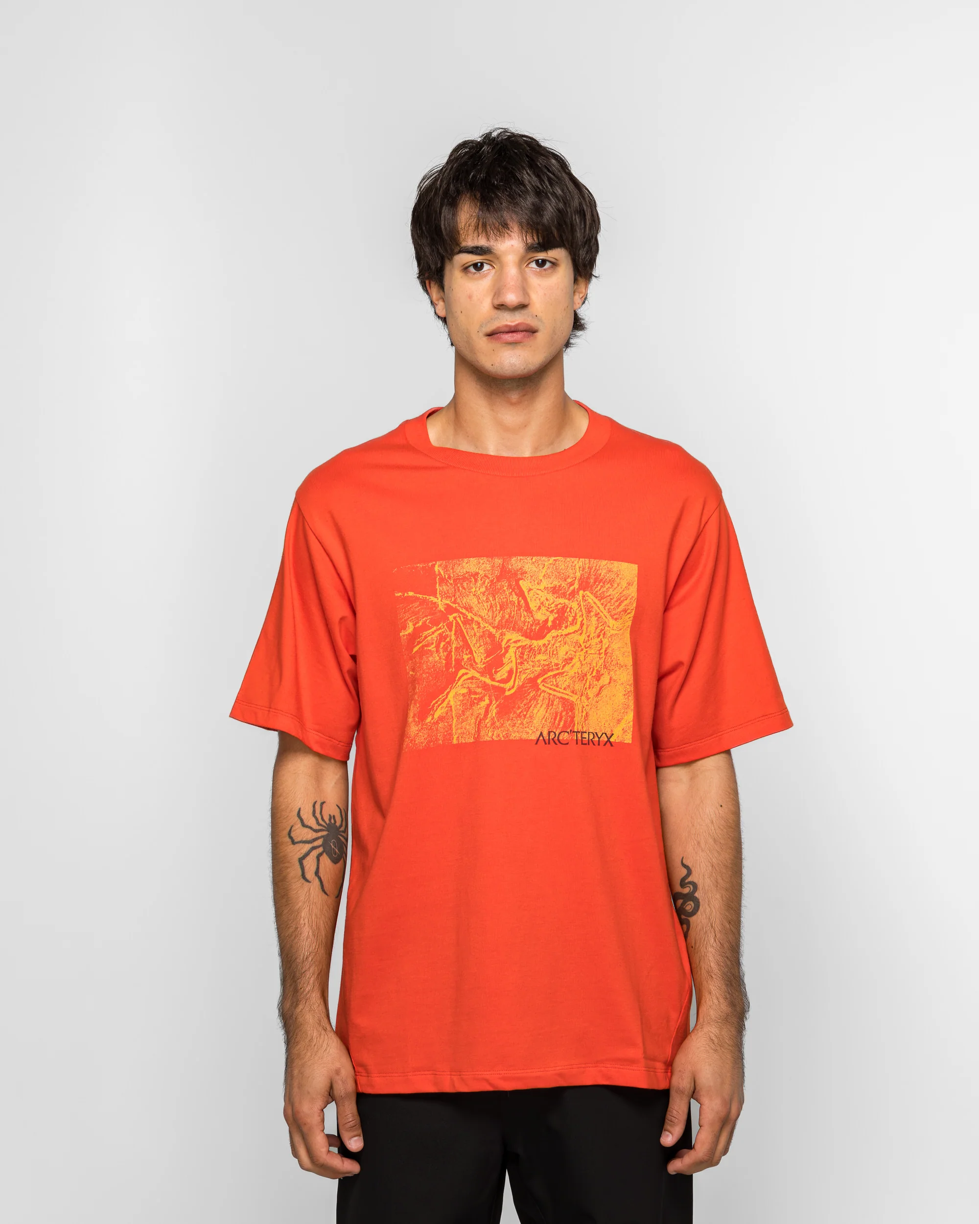Kragg Cotton Lithographica SS - Dynasty - Image 2